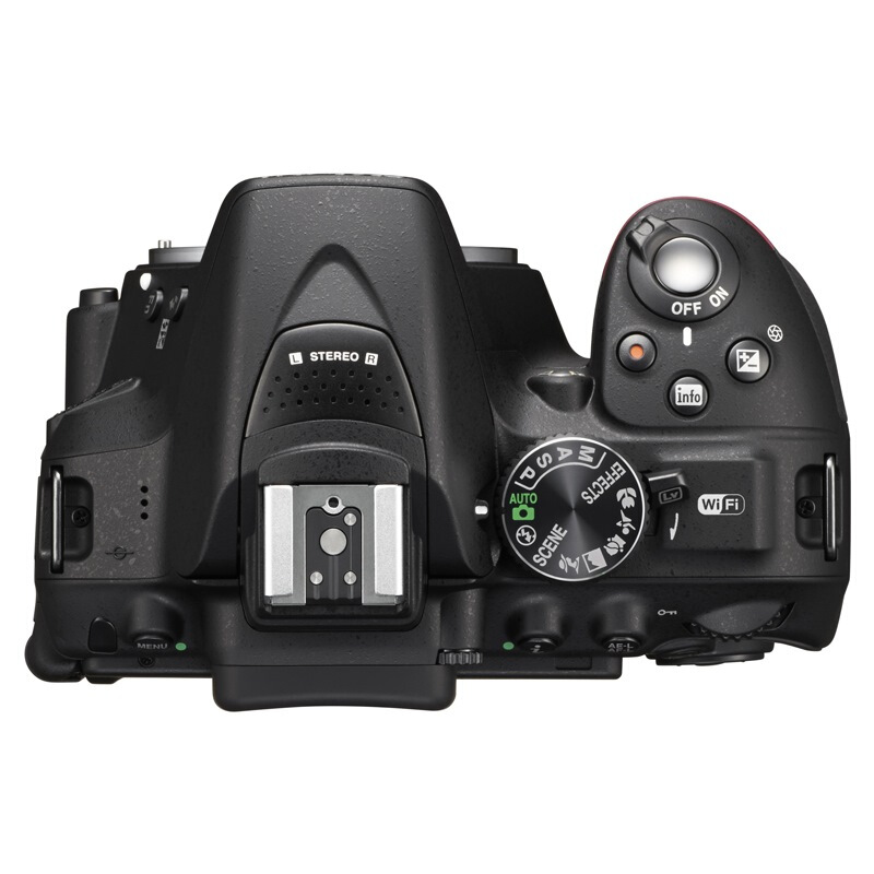 尼康（Nikon） D5300 入門單反數(shù)碼照相機(機身)_http://m.bzsa.cn/img/images/C201902/1551162975369.jpg
