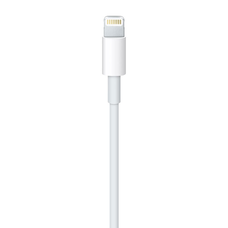 蘋果（Apple）Lightning/閃電轉(zhuǎn) USB 連接線 (1 米)_http://m.bzsa.cn/img/images/C201906/1561532749758.jpg