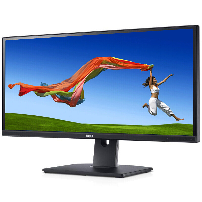 戴爾（DELL） U2913WM 29英寸LED背光IPS屏液晶顯示器_http://m.bzsa.cn/img/sp/294/c23c8b28-fac0-4f60-99df-3a0af754ba9d.jpg