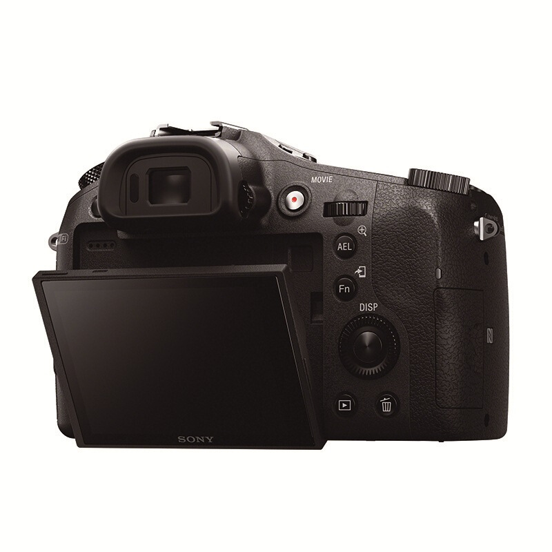 索尼（SONY） DSC-RX10 黑卡數(shù)碼相機(jī) 等效24-200mm F2.8 蔡司鏡頭（WIFI/NFC RX10M1）_http://m.bzsa.cn/img/sp/307/122daa0f-f634-4bd9-ba2f-124e3b6587a0.jpg