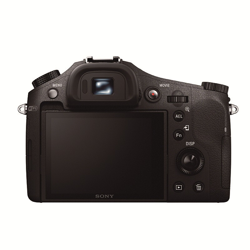 索尼（SONY） DSC-RX10 黑卡數(shù)碼相機(jī) 等效24-200mm F2.8 蔡司鏡頭（WIFI/NFC RX10M1）_http://m.bzsa.cn/img/sp/307/ed6f7730-f98f-45ee-887b-856d5f89a500.jpg