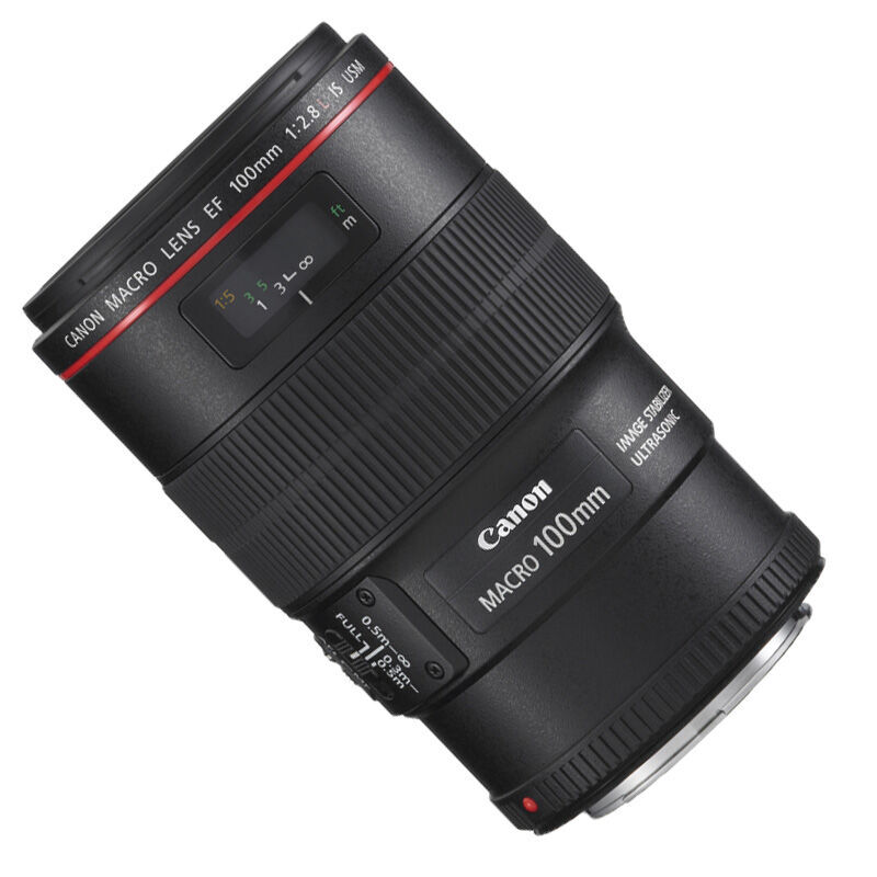 佳能（Canon） EF 100mm f/2.8L IS USM 微距鏡頭_http://m.bzsa.cn/img/sp/320/d461e49a-1ad3-4d1e-aa6d-69e5529be7aa.jpg