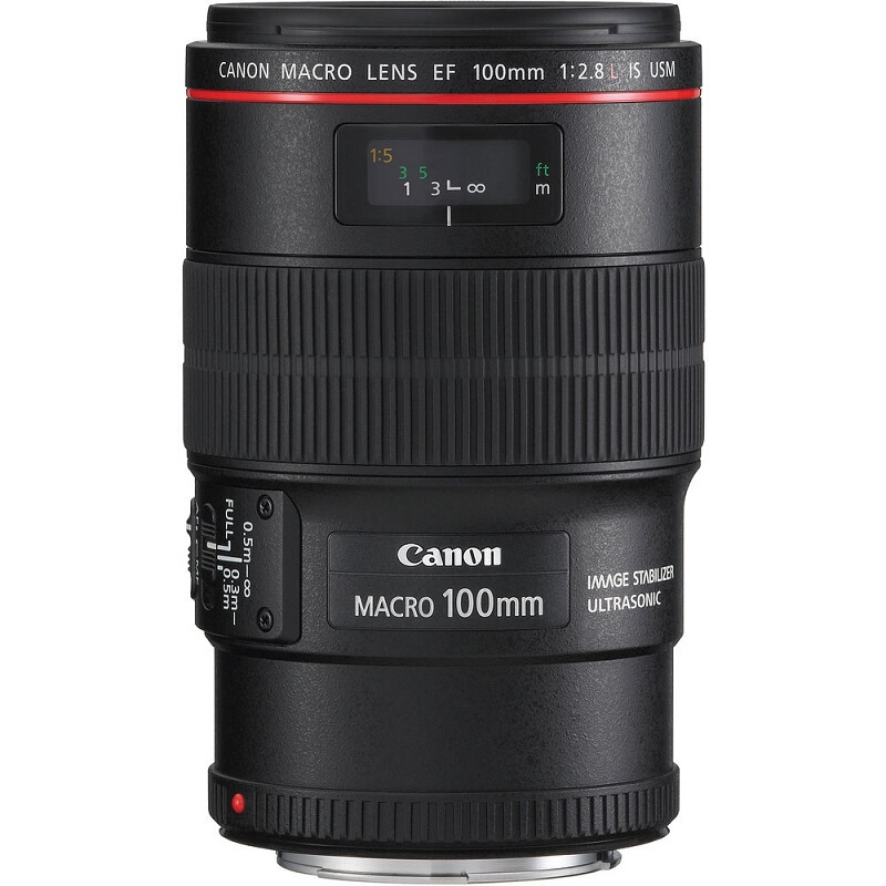 佳能（Canon） EF 100mm f/2.8L IS USM 微距鏡頭_http://m.bzsa.cn/img/sp/320/fda9f56d-e8e7-4fb2-938d-0bb38856cecf.jpg