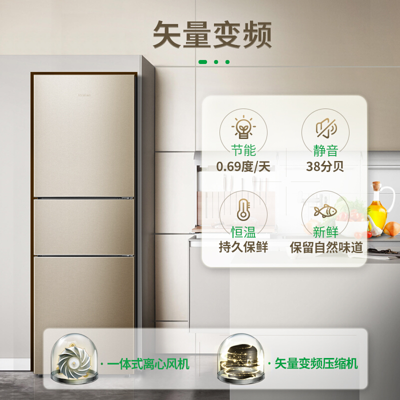 容聲(Ronshen) BCD-252WD11NPA 252升 三門冰箱_http://m.bzsa.cn/img/sp/331/22ddc659-9d72-4f39-96ce-a69f0f5140b6.jpg