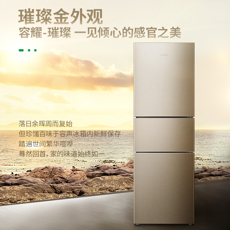 容聲(Ronshen) BCD-252WD11NPA 252升 三門冰箱_http://m.bzsa.cn/img/sp/331/eca77551-6cb8-4042-82e3-11dd9ab699ec.jpg