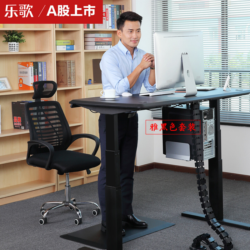樂歌（Loctek） E3 呵護腰椎站立辦公電動升降桌/立柱3節(jié) (桌面尺寸1200*600mm) _http://m.bzsa.cn/img/sp/361/38f14e4a-e599-4184-a784-8a45b21234c1.jpg