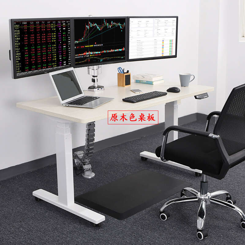 樂歌（Loctek） E3 呵護(hù)腰椎站立辦公電動升降桌/立柱3節(jié) (桌面尺寸1600*800mm) _http://m.bzsa.cn/img/sp/361/48d0c503-1a38-4fbc-ac12-2ad0c38fd136.jpg