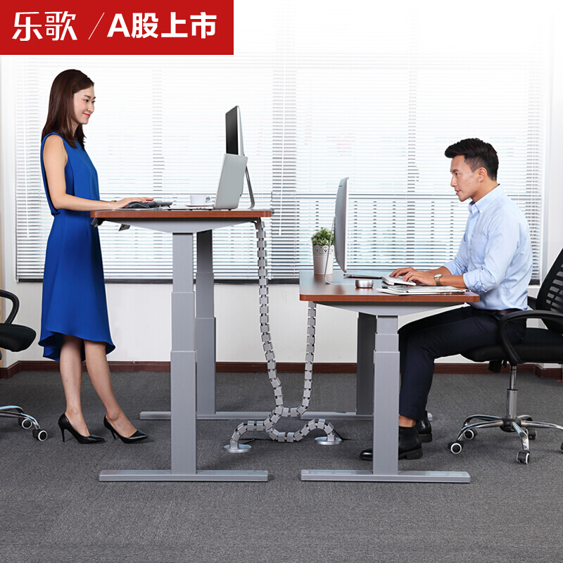 樂(lè)歌（Loctek） E3 呵護(hù)腰椎站立辦公電動(dòng)升降桌/立柱3節(jié) (桌面尺寸1400*700mm) _http://m.bzsa.cn/img/sp/361/9a40baf8-3482-4064-915e-7998b33f63f3.jpg