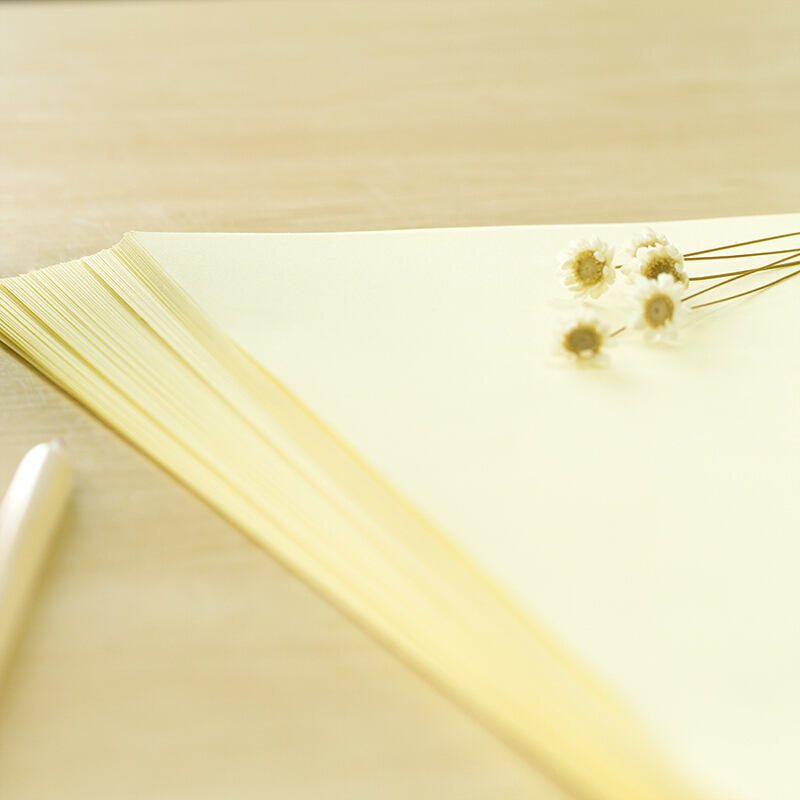 得力（deli） 7391 彩色復(fù)印紙 A4/80g 100張/包（淺黃）_http://m.bzsa.cn/img/sp/81/a3154df9-6b0c-4b62-b2a8-cbb01eaac7ef.jpg