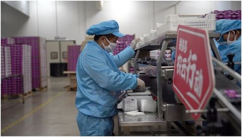 拼多多 農(nóng)云行動 力推云南藍(lán)莓破圈