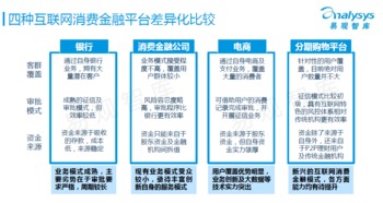 中國(guó)互聯(lián)網(wǎng)消費(fèi)金融市場(chǎng)專題研究報(bào)告 金融信息服務(wù)的現(xiàn)狀與前景